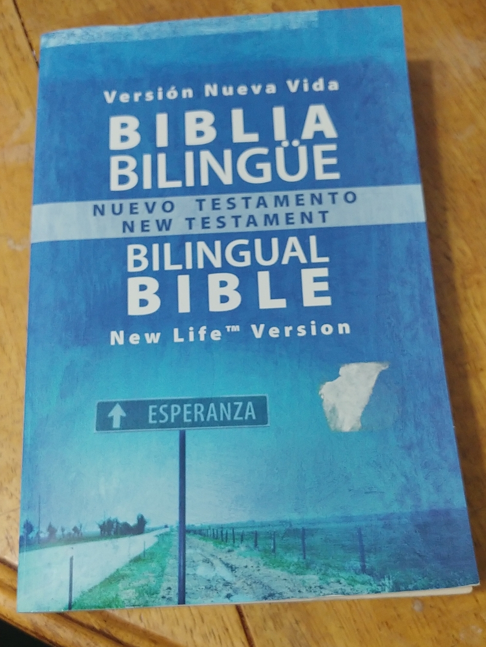 Bilingual Bible New Life Version - Blue
